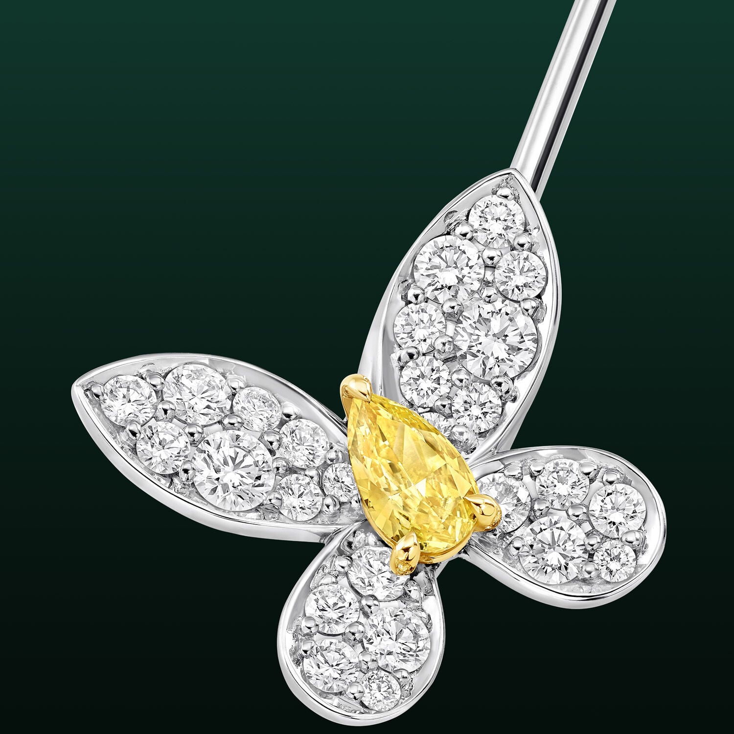 Image shows Graff Butterfly Freya Brooch