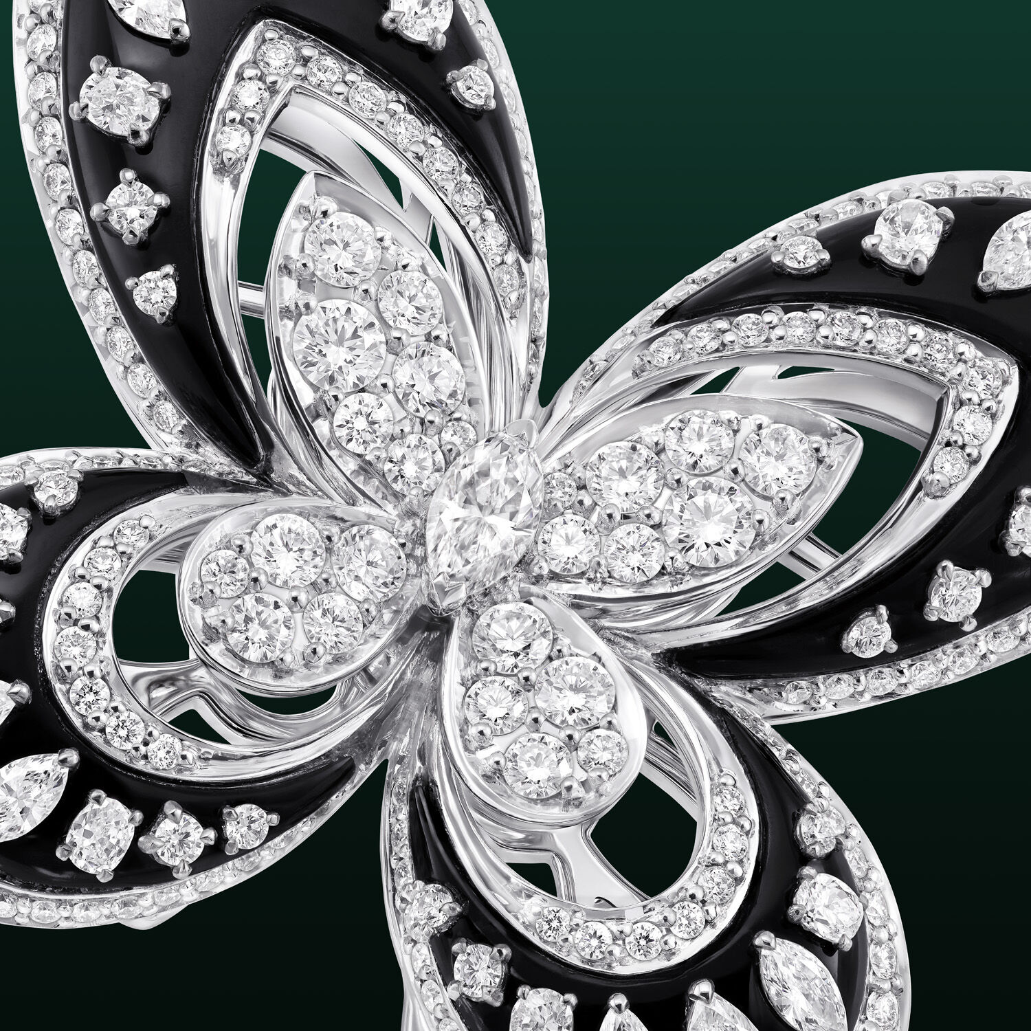 Image shows close up of Graff Butterfly Selene Brooch