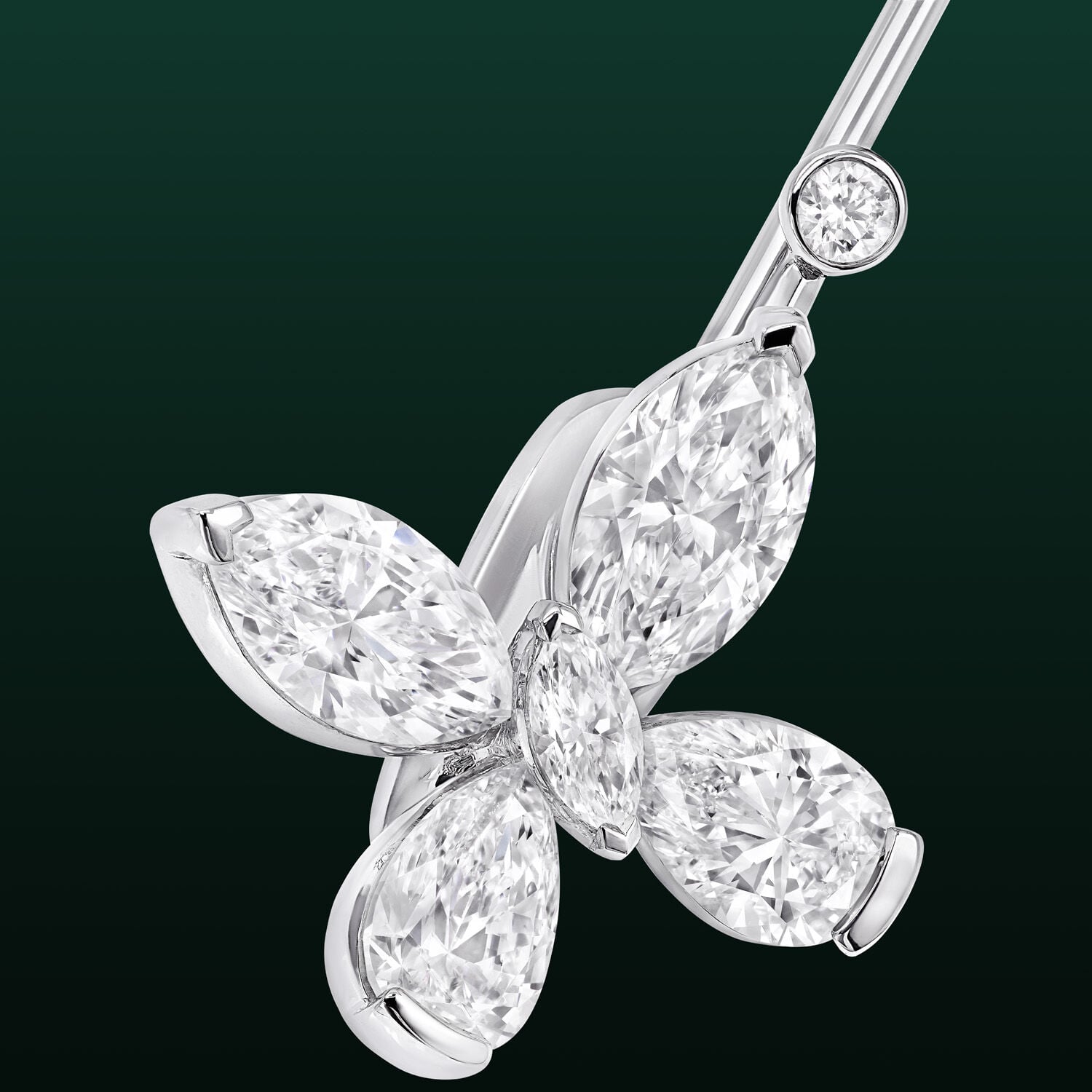 Image shows Graff Butterfly Marina Brooch