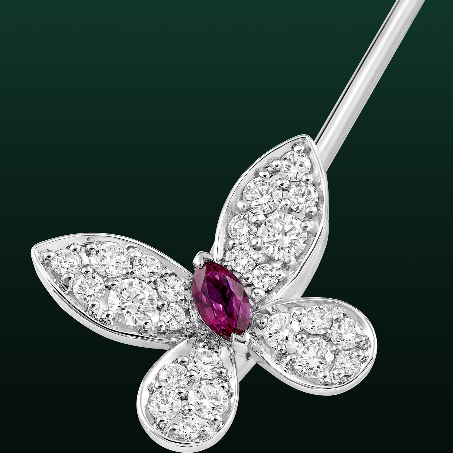 Image shows close up of Graff Butterfly Lina Brooch